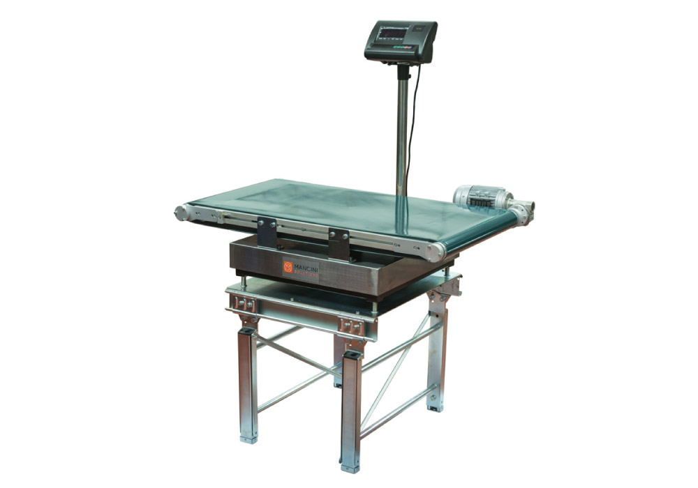 Weighing station with conveyor belt