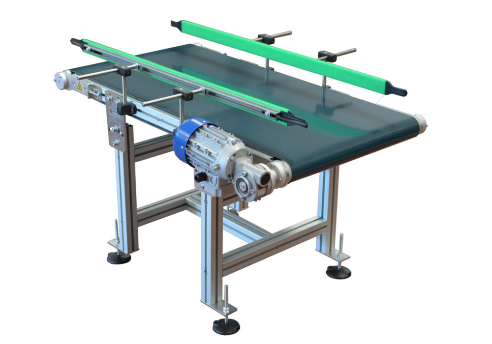 Standard conveyor belt with guides